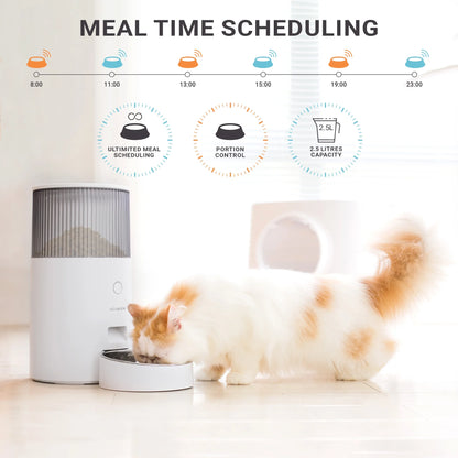 Purechew Mini Automatic Smart Cat Feeder, Smart Food Dispenser for Dogs and Cats